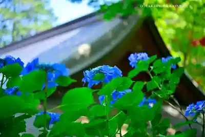 高幡不動尊　金剛寺(東京都)