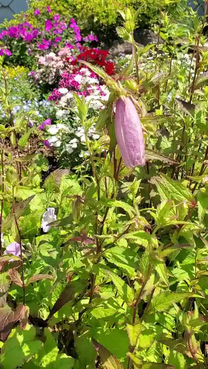 大鏑神社(福島県)
