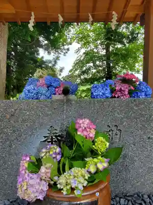 高司神社〜むすびの神の鎮まる社〜の手水舎