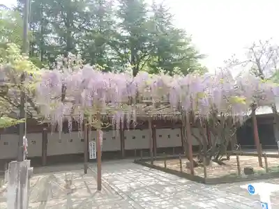 笠間稲荷神社(茨城県)