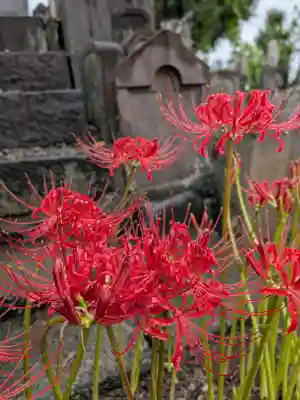 福寿院(東京都)