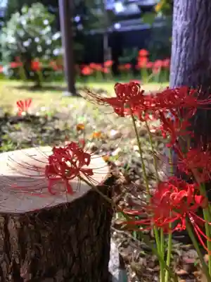 福蔵院(東京都)