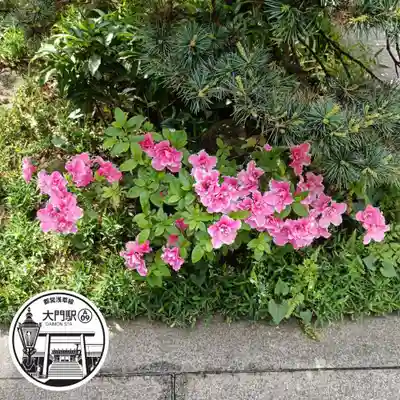 芝大神宮(東京都)
