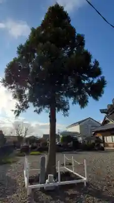 富永神社の自然