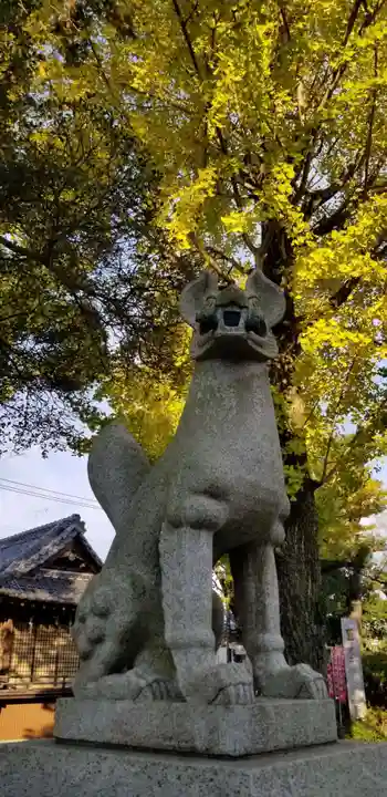 半田稲荷神社の狛犬
