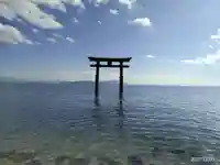 白鬚神社の鳥居