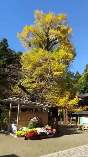 水戸八幡宮(茨城県)