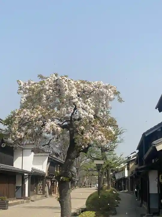 白鳥神社(長野県)