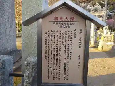 素鵞熊野神社の歴史