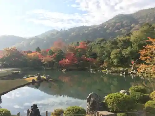 天龍寺の庭園