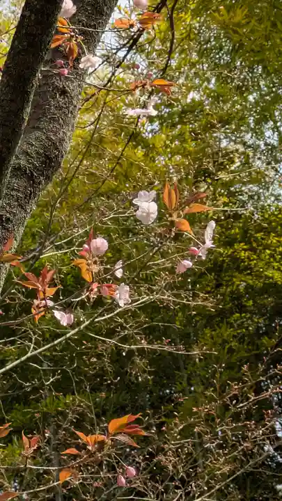 向日神社(京都府)