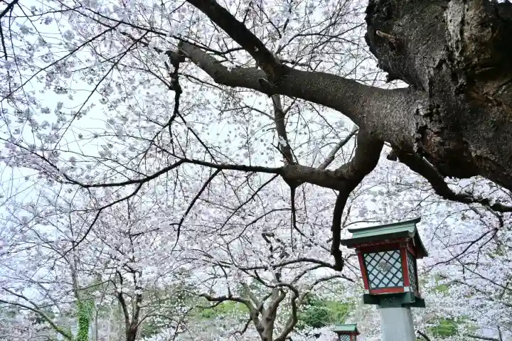 彌彦神社(新潟県)