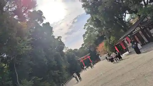 賀茂御祖神社（下鴨神社）(京都府)