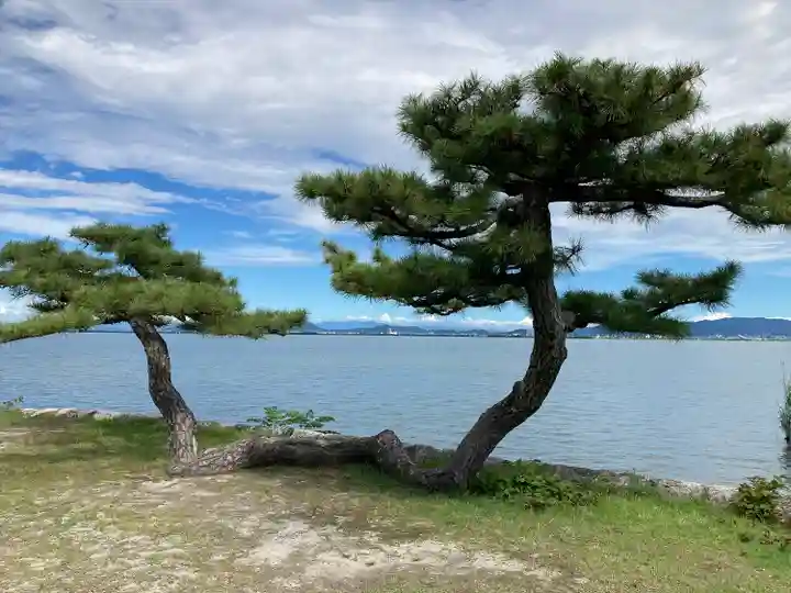 唐崎神社(滋賀県)