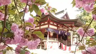 下野國一社八幡宮の本殿・本堂