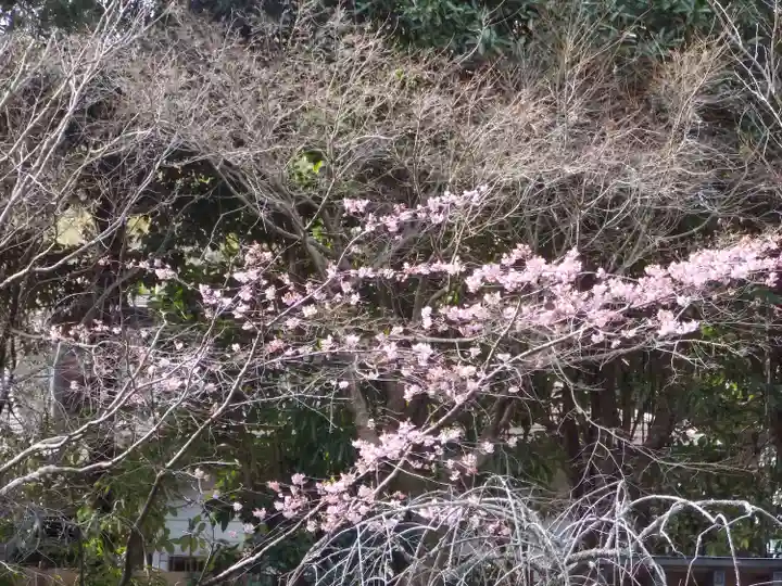 浄智寺(神奈川県)