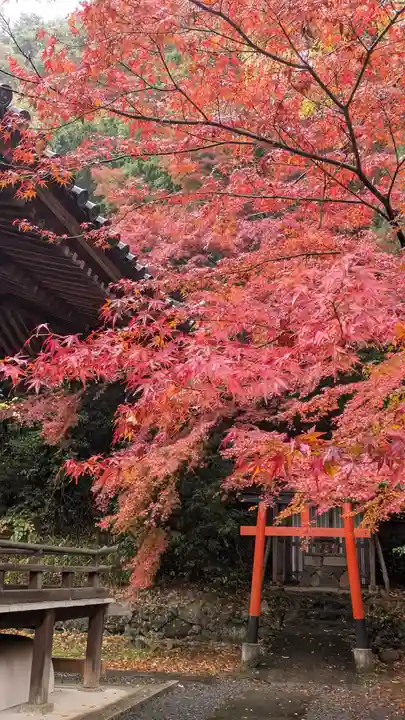 宝積寺(京都府)