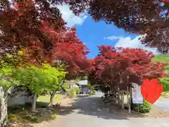 明鏡山龍雲寺の自然