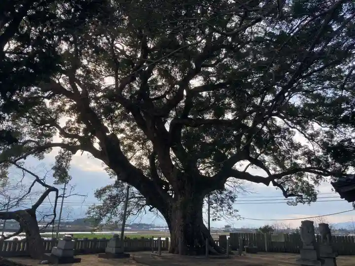 案内神社(徳島県)