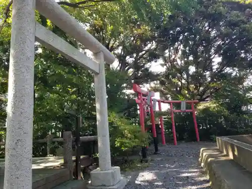 朝日氷川神社の鳥居