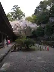 吉野水分神社(奈良県)