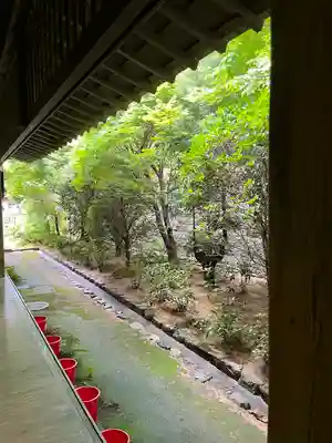 龍安寺(京都府)