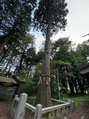 大宮五十鈴神社(長野県)