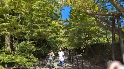 光明寺（粟生光明寺）(京都府)