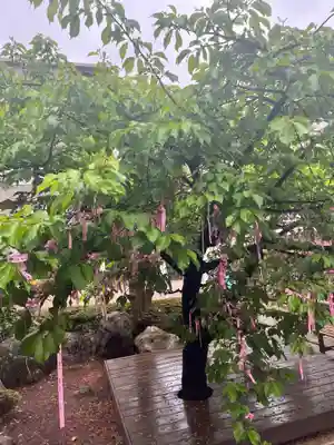 桜神宮(東京都)