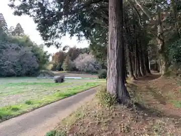 駒形神社(千葉県)