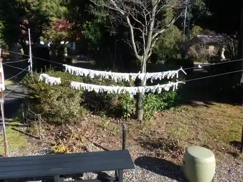 京都乃木神社のおみくじ