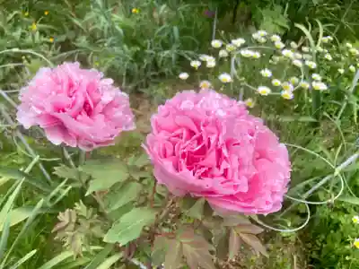 善名称院（真田庵）の自然