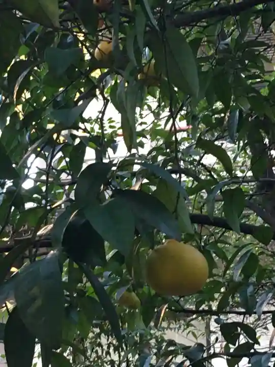 武蔵野八幡宮(東京都)