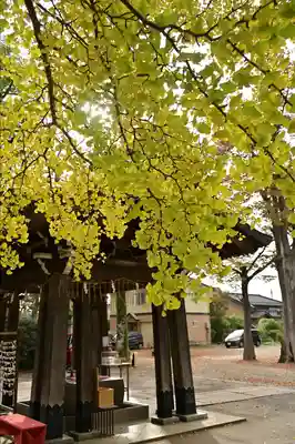 金峯神社(新潟県)