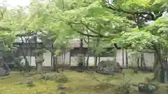 仁和寺の庭園