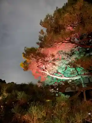 平安神宮のお祭り