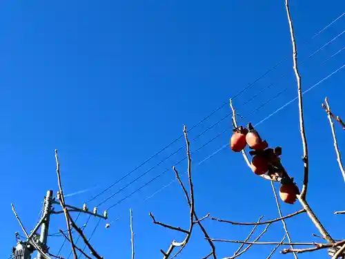 倶梨迦羅神社(長野県)
