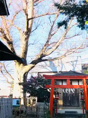 龍ケ崎八坂神社(茨城県)