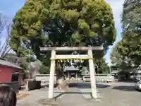 日吉浅間神社(静岡県)