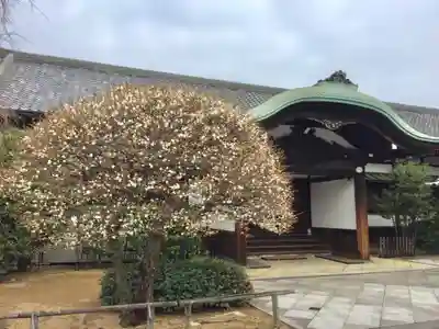吉祥寺のその他建物