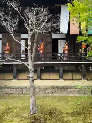 光明寺(粟生光明寺)の御朱印