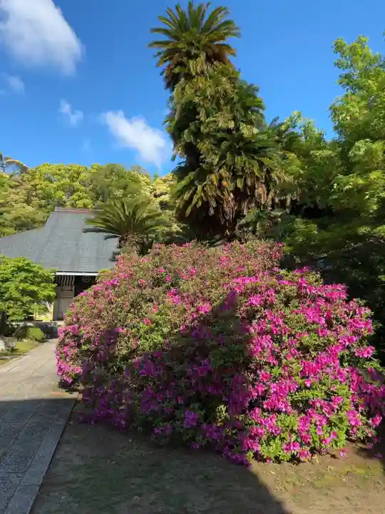 伊勢の国 四天王寺(三重県)