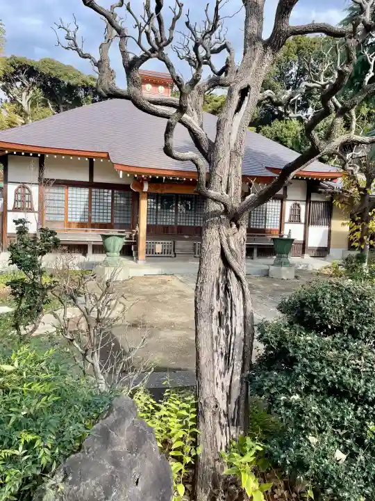 蓮勝寺の{uncategorized: "未分類", other: "その他", undefined: "問題あり", building: "その他建物", grave: "お墓", sacred_gate: "鳥居", guardian: "狛犬", statue: "像", buddha: "仏像", history: "歴史", nature: "自然", garden: "庭園", animal: "動物", pagoda: "塔", temizu: "手水舎", mountain_gate: "山門・神門", sanctuary: "本殿・本堂", subordinate: "末社・摂社", art: "芸術", scenery: "景色", jizo: "地蔵", ema: "絵馬", goshuin: "御朱印", omikuji: "おみくじ", items: "授与品その他", amulet: "お守り", goshuincho: "御朱印帳", eats: "食事", festival: "お祭り", votive_dance: "神楽", shichigosan: "七五三参", wedding: "結婚式", experience: "体験その他", initially: "初詣", around: "周辺", anti_infection: "感染症対策"}