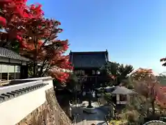 善峯寺の山門