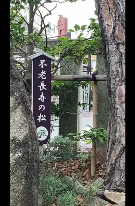 行田八幡神社(埼玉県)