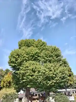 亀ケ池八幡宮(神奈川県)