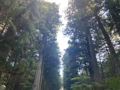 北口本宮冨士浅間神社(山梨県)