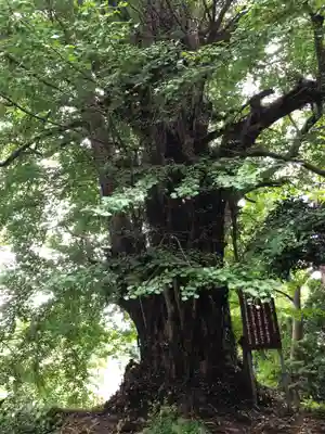 西生寺(新潟県)