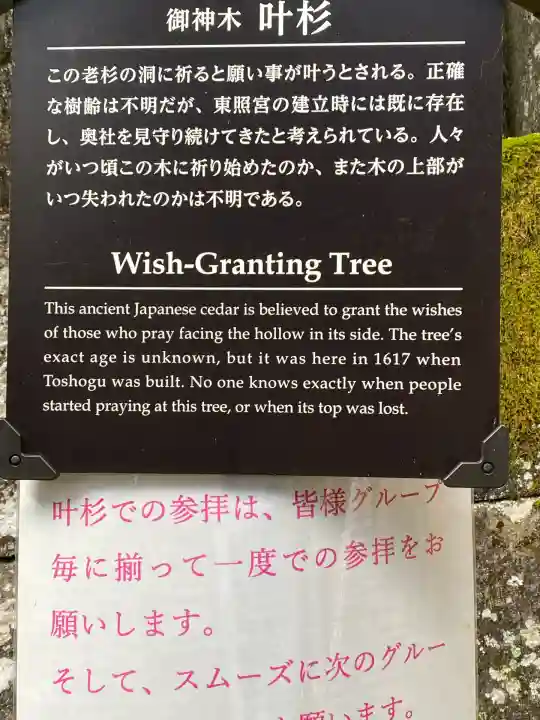 日光東照宮(栃木県)