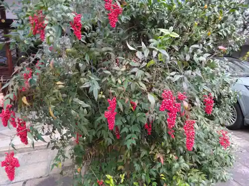 京都大神宮(京都府)